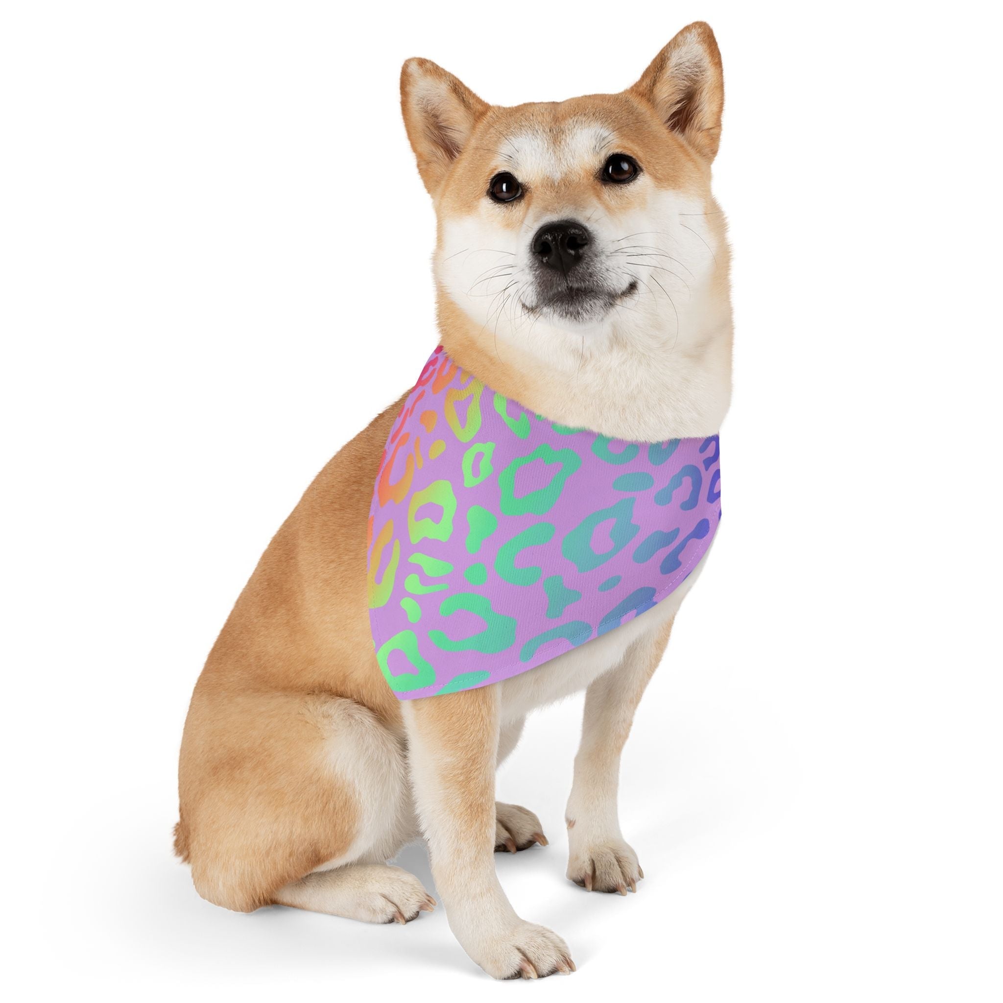 Bespattered Facade Rainbow Leopard Pet Bandana Collar